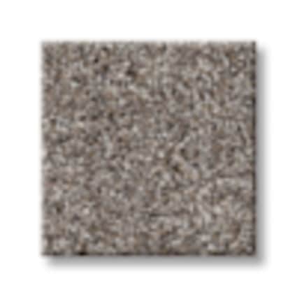 Shaw Astoria Park Driftwood Texture Carpet with Pet Perfect-Sample